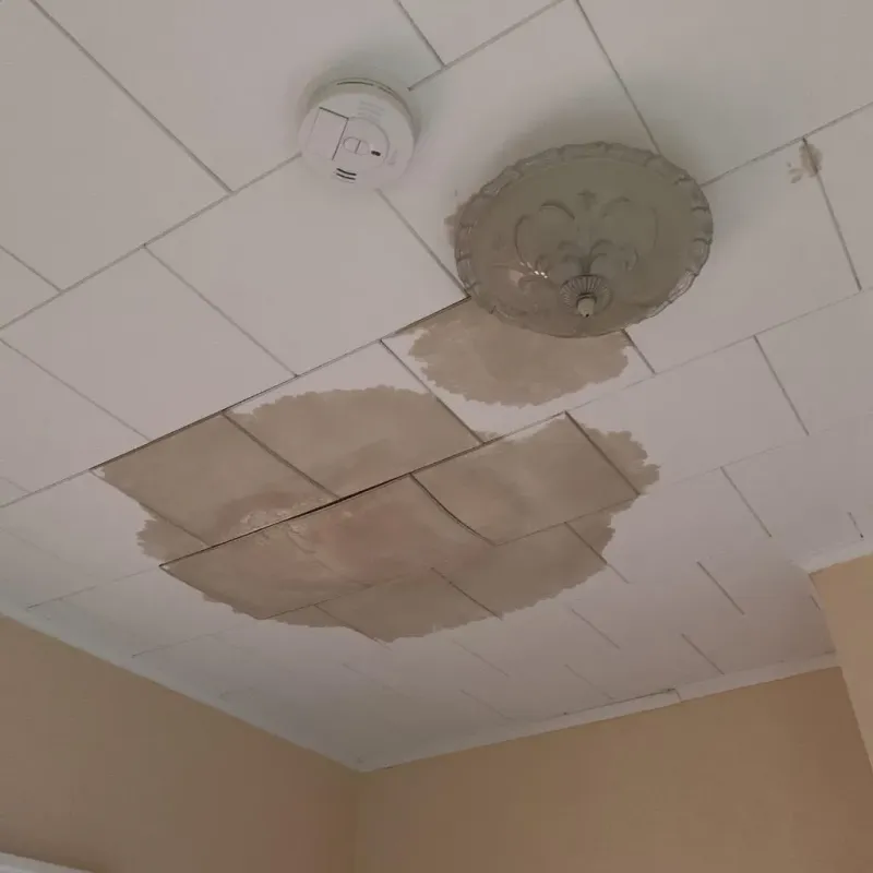 Ceiling Water Damage Repair in Santa Barbara, PR